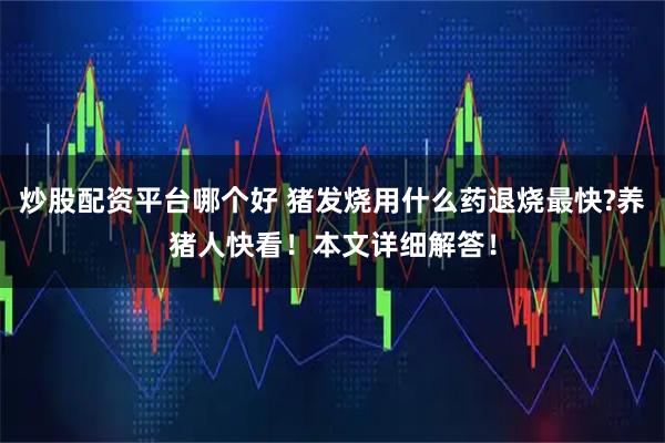 炒股配资平台哪个好 猪发烧用什么药退烧最快?养猪人快看！本文详细解答！