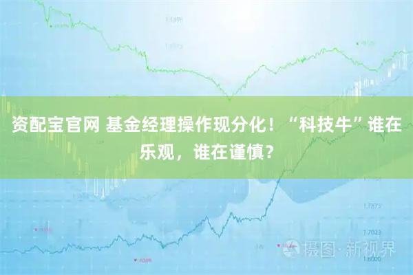 资配宝官网 基金经理操作现分化！“科技牛”谁在乐观，谁在谨慎？