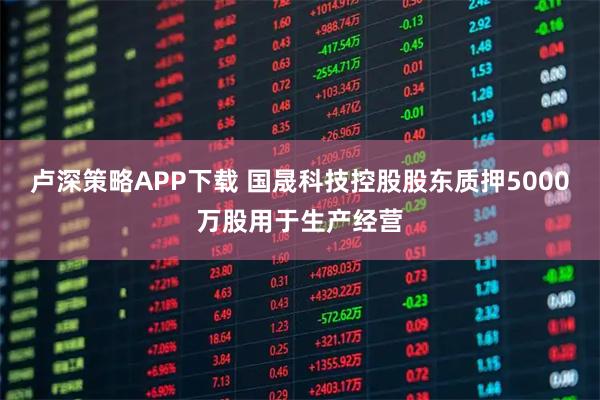 卢深策略APP下载 国晟科技控股股东质押5000万股用于生产经营